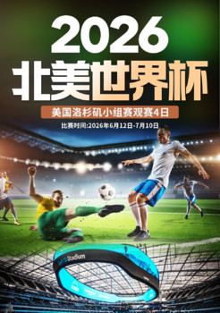 2026美加墨世界杯：美国洛杉矶观赛4日游