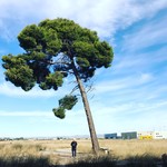 user-avatar
