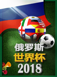 [2022世杯门票预订] 2018-6-27 21:00 瑞士 vs 哥斯达黎加（M42）